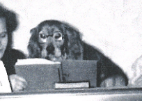 Screen Shot 2017-11-28 at 10.54.13 AM