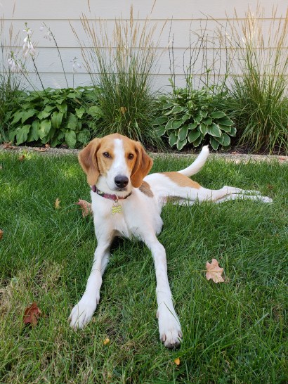 20180907_124452 (4).jpg