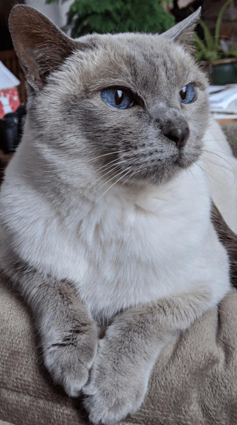 img_20181202_092430_3