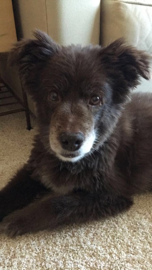 45163B10-FF65-4D06-BDD5-87BD2E013984 (3)