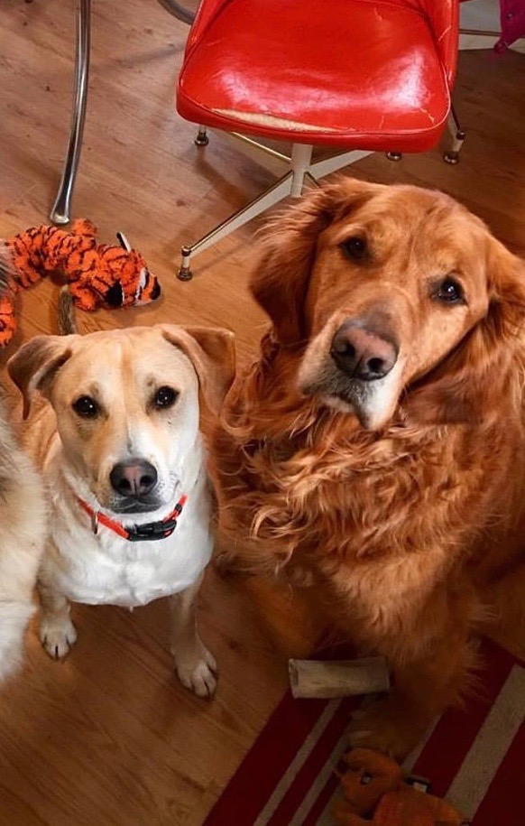 Murphy and Finn.jpeg